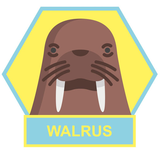Walrus