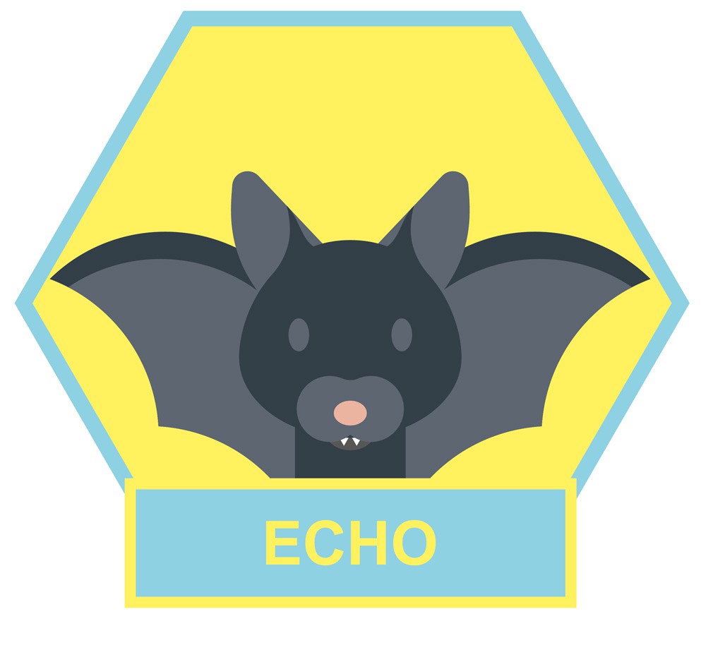 Echo