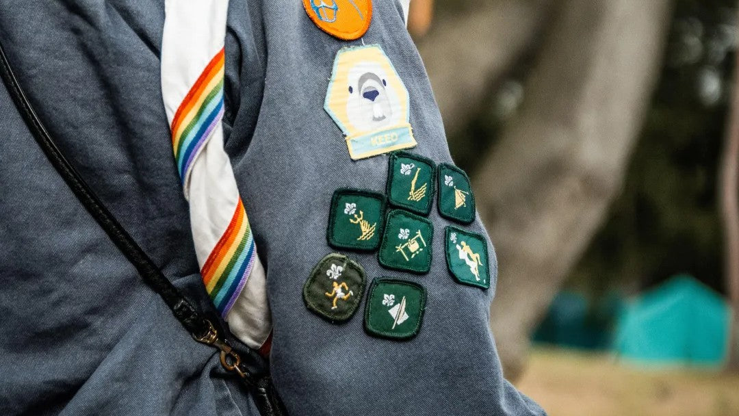 Vaardigheidsbadges