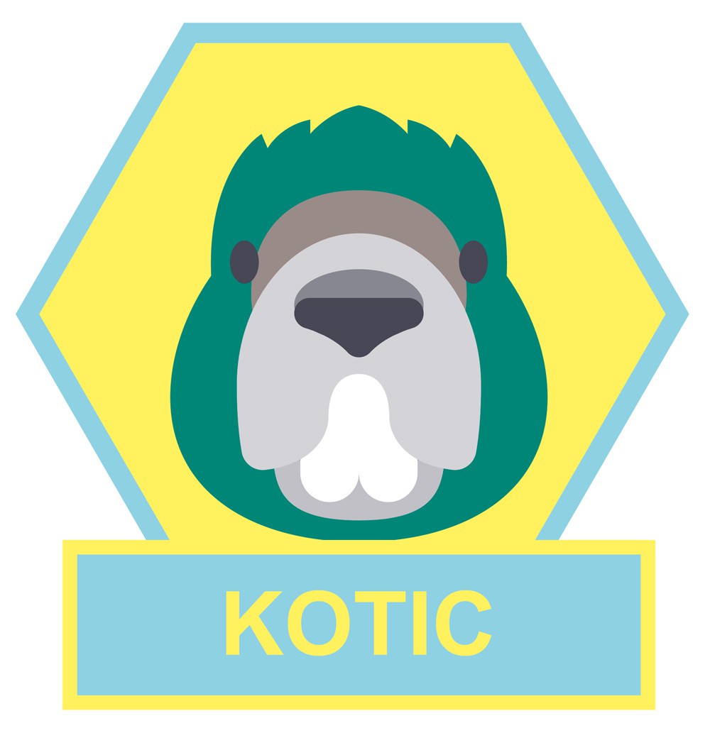 Kotic