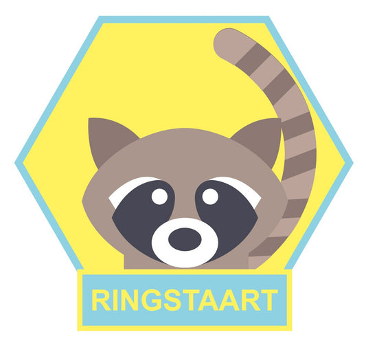 Ringstaart